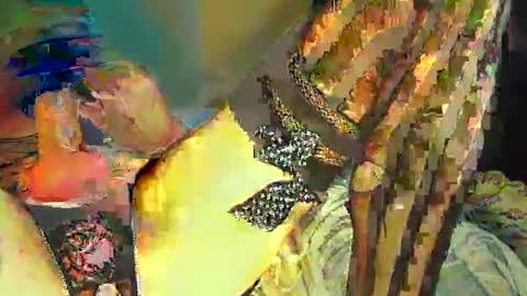 Snapshot of sir__loin411 chatting on 02.20.25 Sir Loin online show from 02.20.25