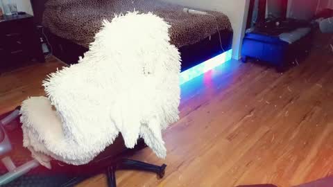 Ashleigh Mak online show from 04.21.26