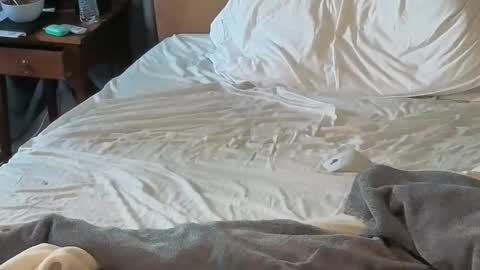 Sissy Submissive online show from 04.18.26