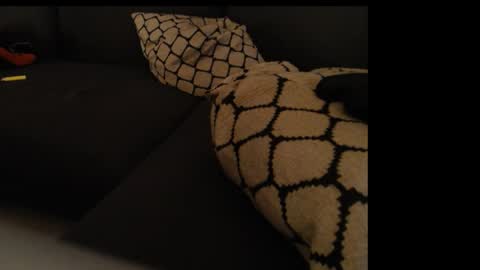 Snapshot of sissygirlalexandra chatting on 01.26.25 sissygirlalexandra online show from 01.26.25