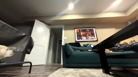 Snapshot of sissyinheelsbbc chatting on 11.09.25 sissyinheelsbbc online show from 11.09.25