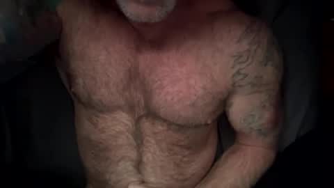 BEEF online show from 02.16.26