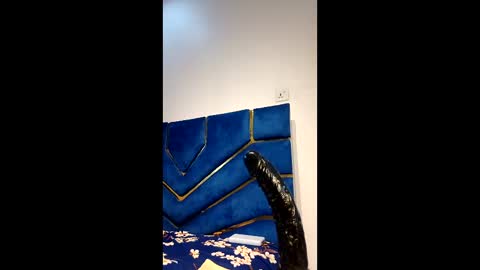 Snapshot of skinnyasssexyboobs16 chatting on 03.12.26 skinnyasssexyboobs online show from 03.12.26