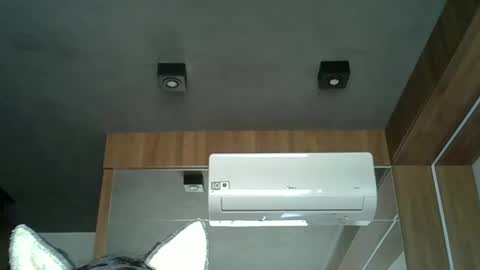 skinnykittencam online show from 10.03.25