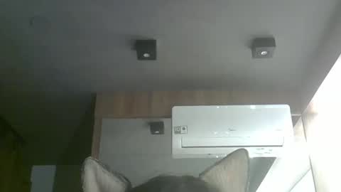 skinnykittencam online show from 10.05.25