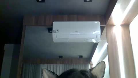 skinnykittencam online show from 02.11.26