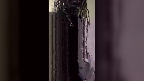 skooby1235 online show from 02.04.26