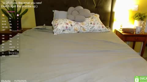 Snapshot of skybella_ chatting on 11.20.25 Skylar online show from 11.20.25