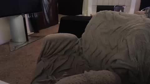 SKYLE   online show from 10.10.25