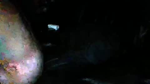 slideitin96 online show from 01.30.25