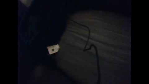 slutviki online show from 10.28.25