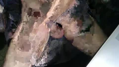 slyfast1 online show from 12.18.25