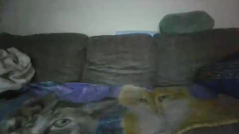 smaug6606 online show from 11.24.25