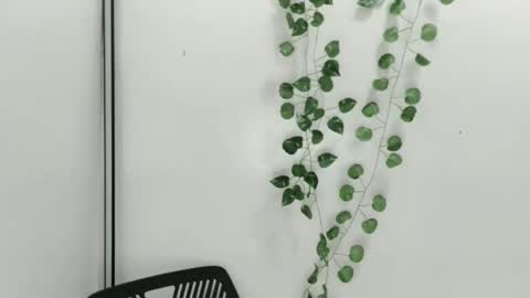 Snapshot of smellon_shake chatting on 10.09.25 Julia online show from 10.09.25