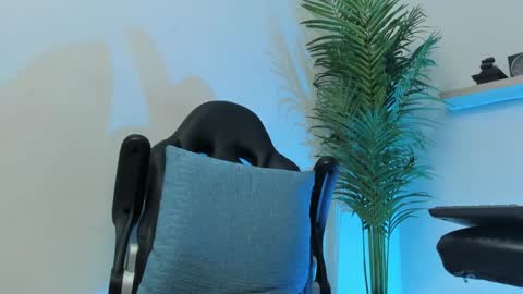 SMIT  online show from 12.07.24