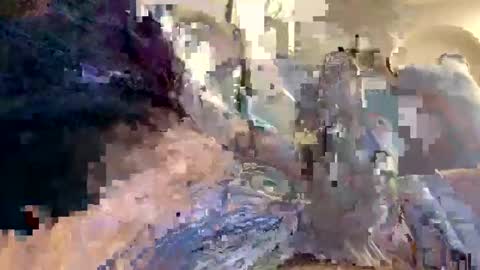 Snapshot of smokingdank chatting on 12.18.24 smokingdank online show from 12.18.24