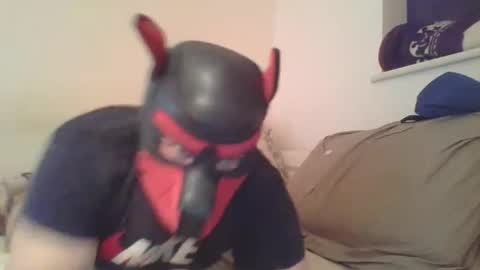 SoftPuppy online show from 01.09.26