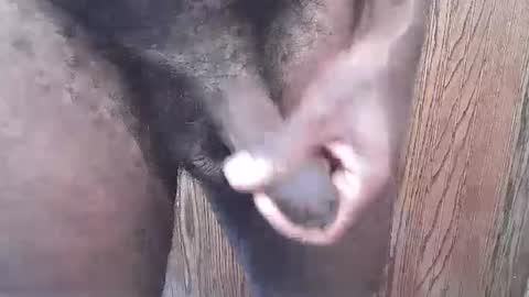 snkr1244 online show from 09.13.25