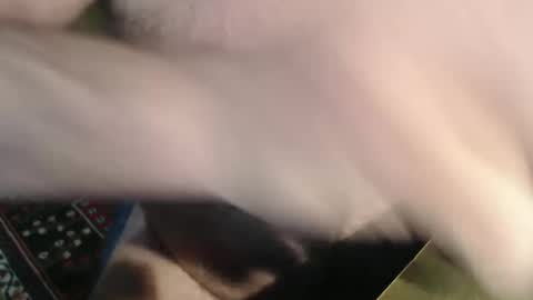 snudge432 online show from 01.04.25