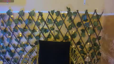 leidy online show from 12.01.25