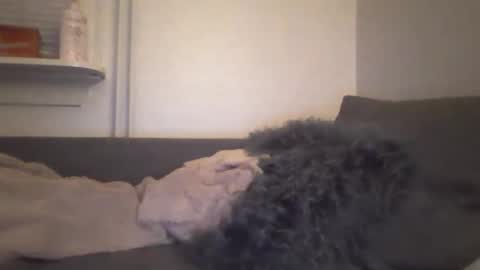 Snapshot of sof73 chatting on 05.02.26 sof73 online show from 05.02.26