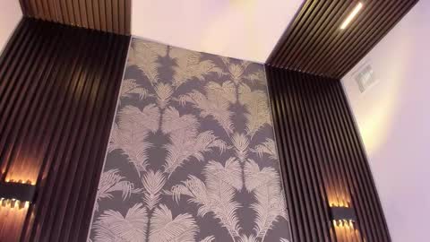 SOFIA online show from 02.06.26