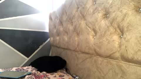 Sofia Jimenez online show from 11.04.25