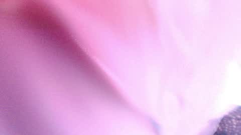 Sofiamillerrs online show from 01.23.25