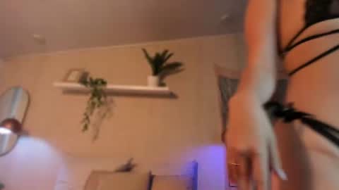 Snapshot of sofii_wild chatting on 06.19.26 sofii_wild online show from 06.19.26