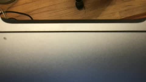 Snapshot of soflastiffyboy69 chatting on 11.13.25 soflastiffyboy69 online show from 11.13.25