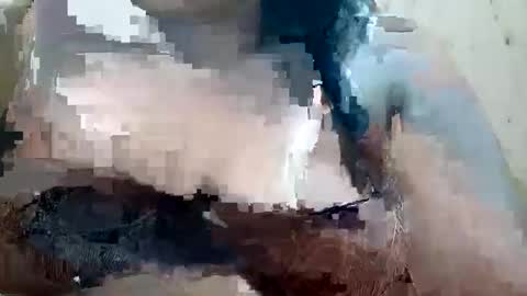 Snapshot of soft_bads chatting on 10.09.25 soft_bads online show from 10.09.25