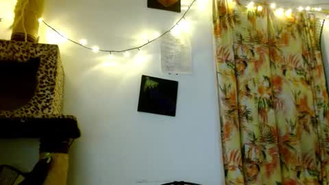 Sofia online show from 02.19.26