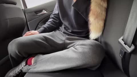 Sondages online show from 02.23.25