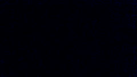 Snapshot of soninhacouple chatting on 03.04.25 soninhacouple online show from 03.04.25