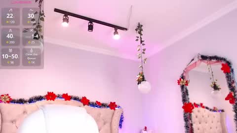 Snapshot of sophi_gray chatting on 12.22.24 Shophi online show from 12.22.24