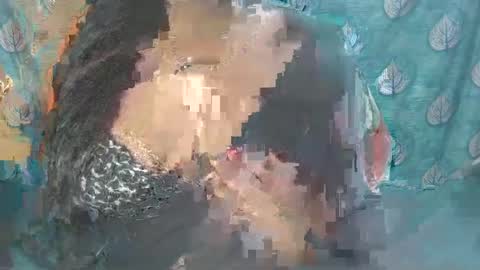 Sophia Tamil online show from 02.24.25