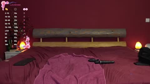 Snapshot of sophiascarlet96 chatting on 12.16.24 sophiascarlet96 online show from 12.16.24