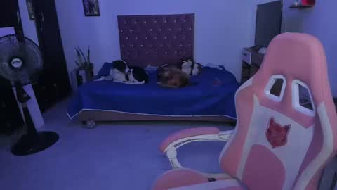 Snapshot of sophie_dolly_ chatting on 06.25.26 sophie doll online show from 06.25.26