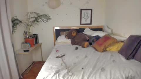 SofiTrans21 online show from 11.24.25