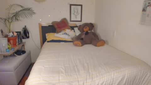 SofiTrans21 online show from 01.12.26