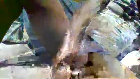 source1012 online show from 01.16.25