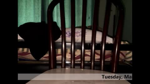 space Dog25 online show from 03.03.26