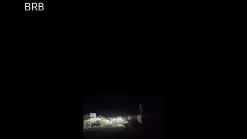 Sibyl online show from 09.10.25