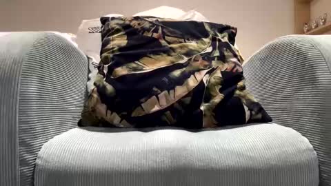 Dany online show from 02.11.25