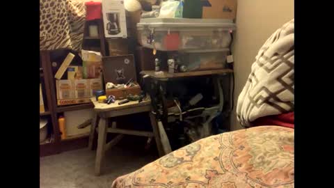 spermdoner23 online show from 11.10.25