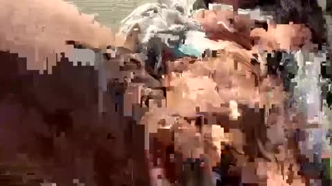 Sammi online show from 12.16.24