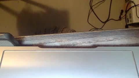 spirit__bear online show from 11.22.25