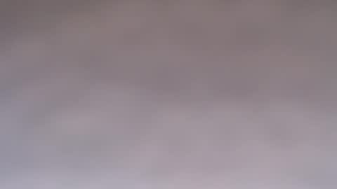 Doll online show from 10.07.25