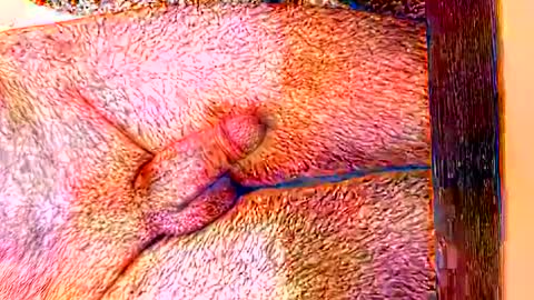 Snapshot of sprayx chatting on 02.08.26 sprayx online show from 02.08.26