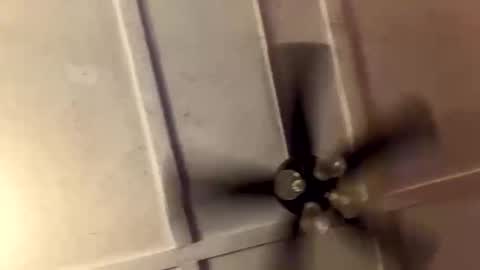 squirtonthisd6 online show from 03.30.26